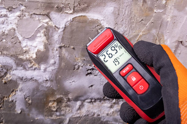 Best Mold Remediation  in Sharon Center, OH