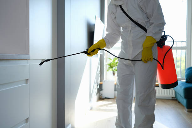 Best Residential Mold Removal  in Sharon Center, OH