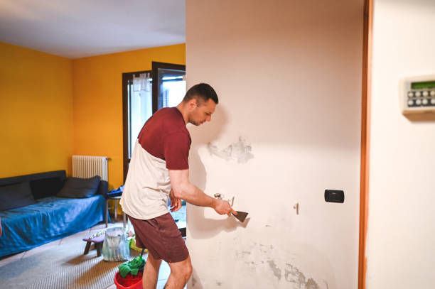 Best Emergency Mold Removal  in Sharon Center, OH
